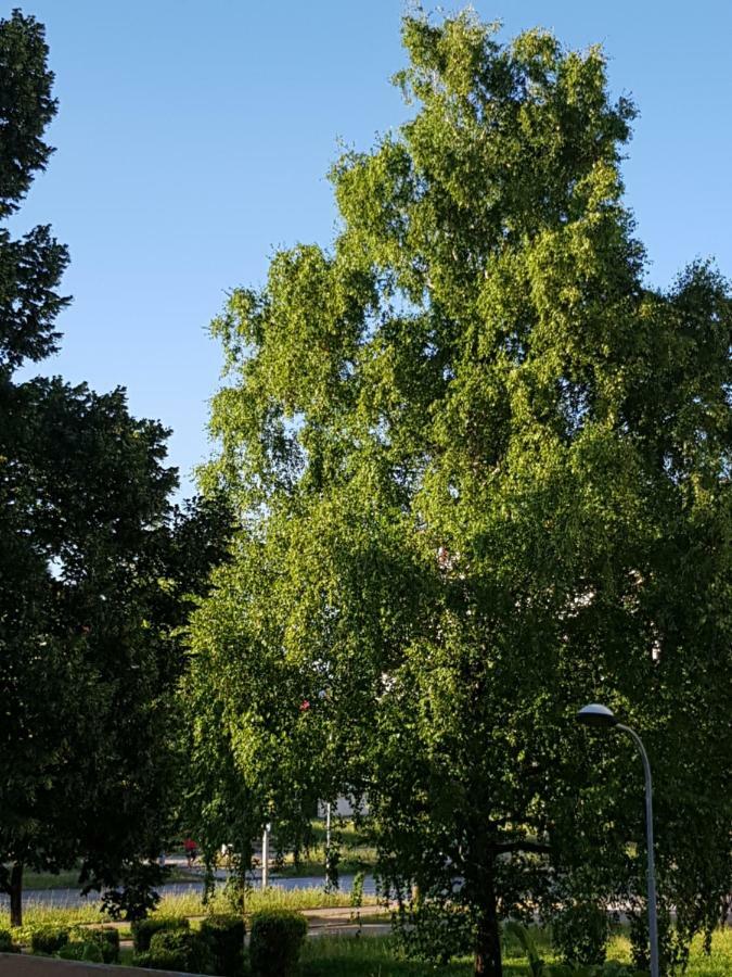 Apartman Tasa Баня-Лука Екстер'єр фото